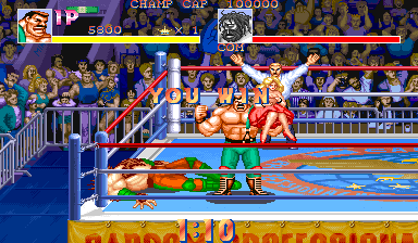 ���͗a������(��